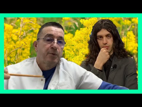 Ja për çfarë sëmundjesh përdoret Galium verum | Box Shëndeti