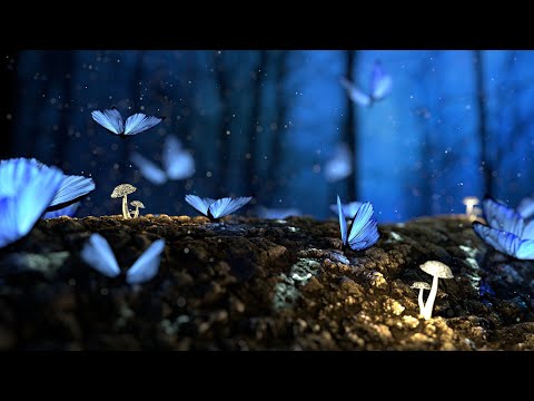 ૐ Chillout News ૐ Vol.66/ 02 - 2021 (Chillgressive Psychill Psybient Downtempo Mix)