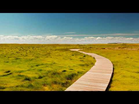 Nico Staf - Sunny Travel