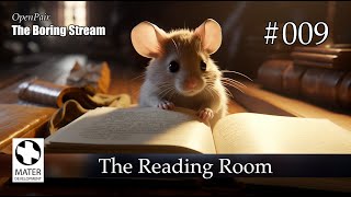 The Boring Stream 009 - The Reading Room (Study With Me)