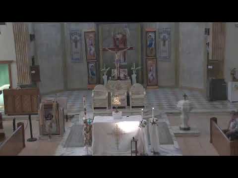 St. Jude Shrine Noon Mass and Novena 4.24.24