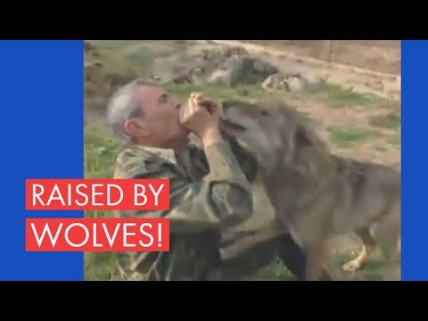 Man in Spain Raised by Wolves for 19 Years Feels Humanity Needs to be More Kind