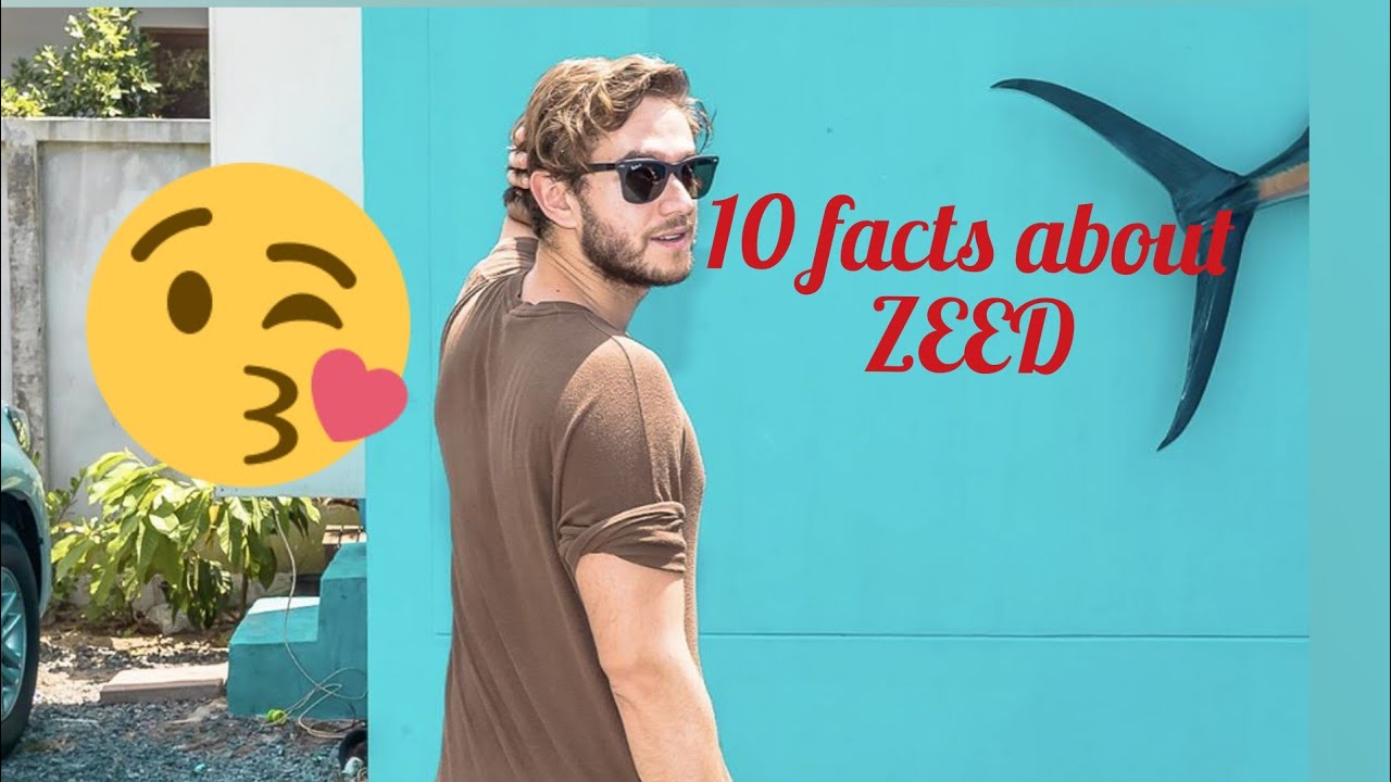10 facts about zedd 😍❤️
