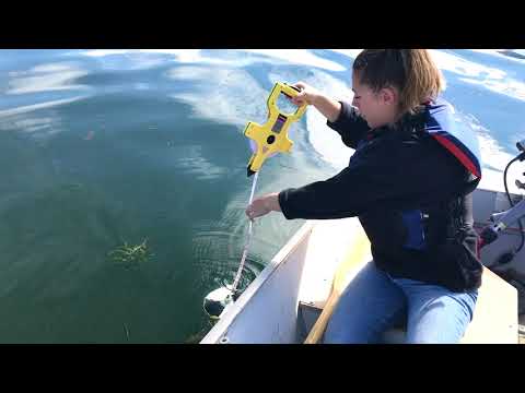 How to Measure Secchi and Site Depth