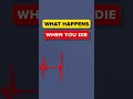 What Happens When You Die