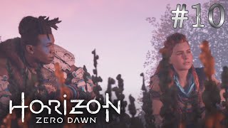 【HorizonZeroDawn】#10 強敵は味方に任せて私は雑魚をやる！【ノラ族の敵討ち】