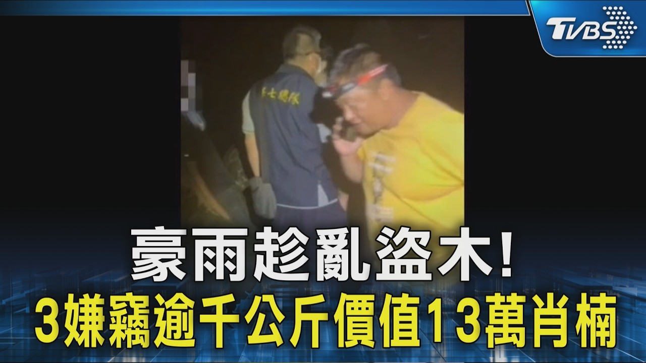 影音／山區豪雨趁機下手！3嫌竊逾千公斤 男辯「不知道」鋼索拉巨木
