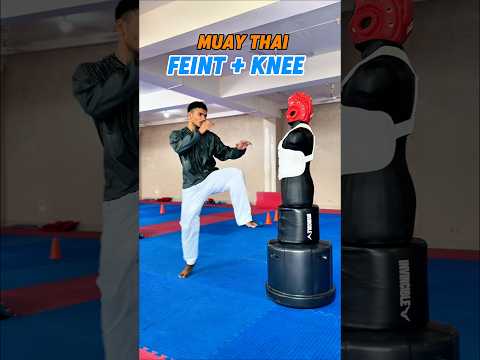 Feint + knee strike🔥 #muaythai #tutorial #kickboxing #taekwondo #karatekid #mma  #shortfeed