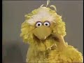 Classic Sesame Street Big Bird Entreda