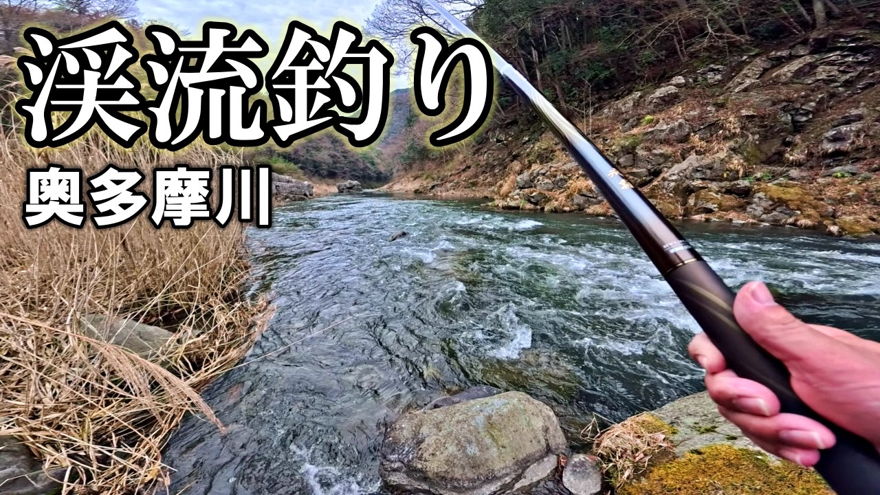 超激戦区！奥多摩川で大寝坊からの渓流釣り。