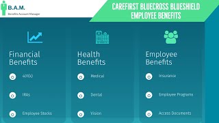 CareFirst BlueCross BlueShield Employee Benefits | Benefit Overview Summary