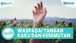Waspadai Jari Tangan Kaku hingga Kesemutan Bisa Tanda Penyakit Serius: Saraf Terjepit & Diabetes