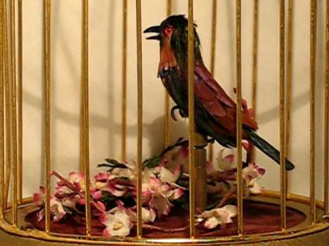 Musical Wonder House Museum Video 1