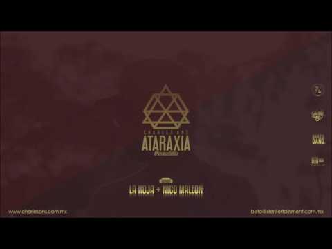 14.- LA HOJA + NICO MALEÓN / CHARLES ANS