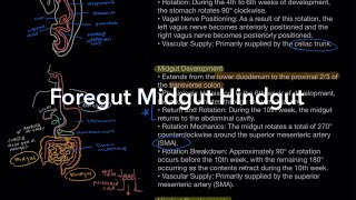 Normal Gastrointestinal Embryology: Foregut, Midgut & Hindgut