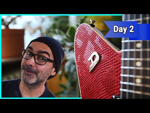 My secret project with DUESENBERG guitars