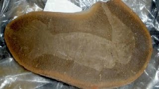 12 Unbelievable Fossil Discoveries