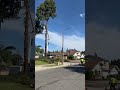 TREE FALLS ON HOUSE 🫣