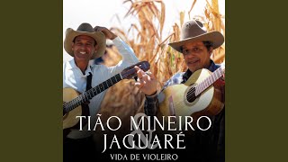 Download lagu Vida de Violeiro mp3