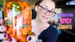 FERMENTING CARROTS: How-to Ferment Spicy Carrots w/ Jalapeños