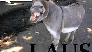 Laus - Your Early Stuff (Pet Shop Boys Cover).wmv