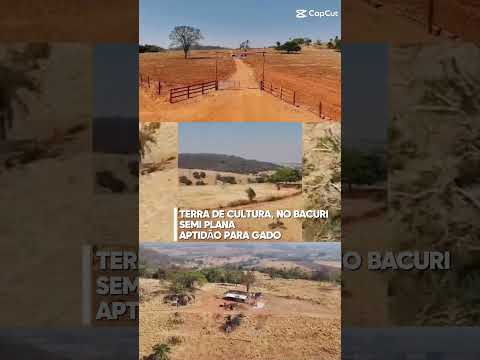 Fazenda de oportunidade em Caturaí Goiás! Saiba mais 62 99373-6407 | Ricco Agronegócio