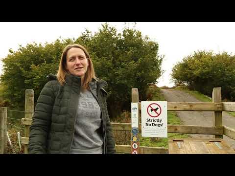 A Visitors Guide to Co  Fermanagh- Cuilcagh Mountain