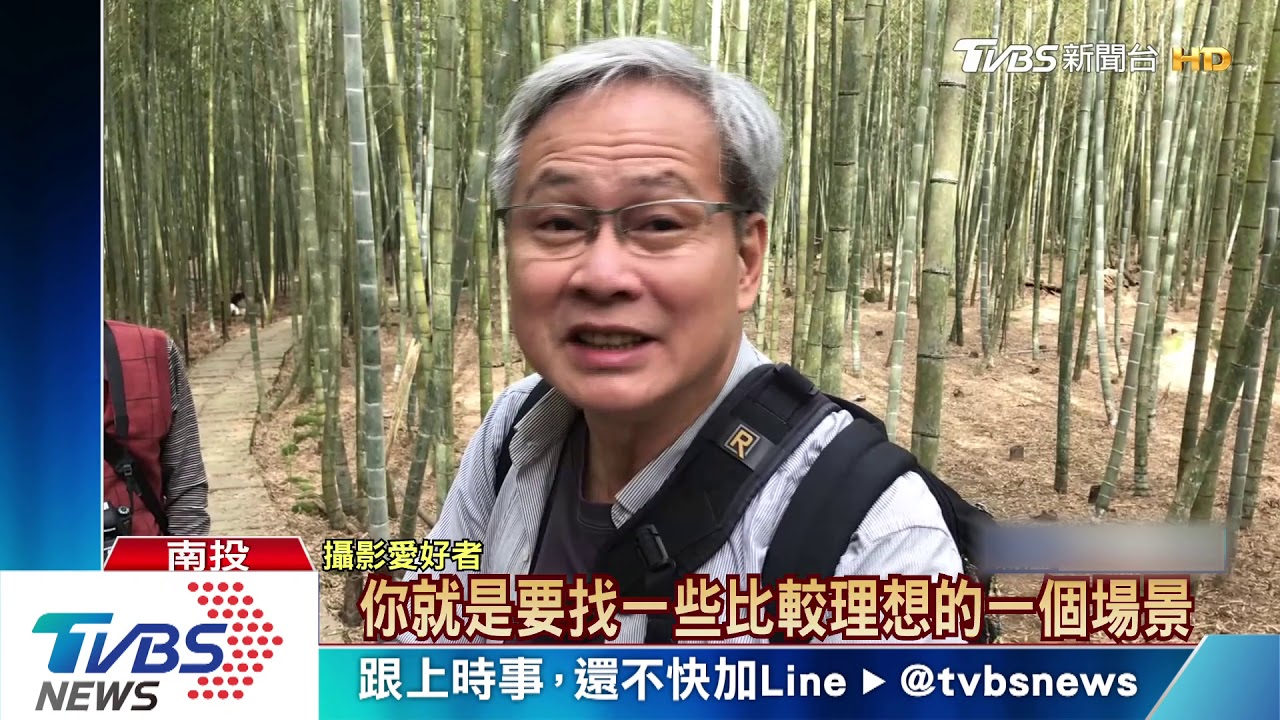 過年去哪? 小半天推租古裝至竹林拍美照
