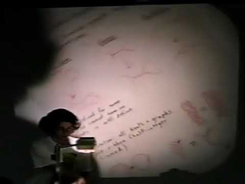 Trivalent Graphs in 3-dimensional Topology - Dylan Thurston