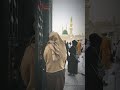 Haale Dil Kisko Sunaye Aapke Hote Hue Ham Kahan Sarkar Jaaye Aapke Hote Hue WhatsApp Status ️