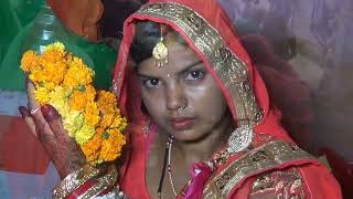 wedding video part-2🪔🪔