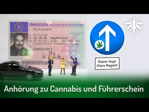 Anhörung zu Cannabis und Führerschein | DHV News # 283