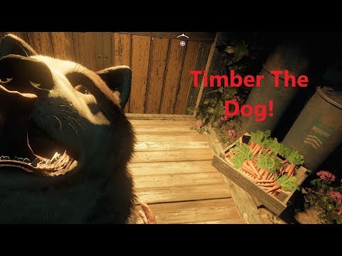 Far Cry New Dawn - Getting Timber! ( No commentary)
