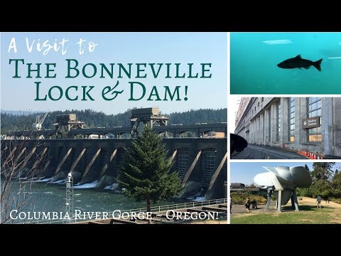 image-Is the Bonneville Dam open to the public?