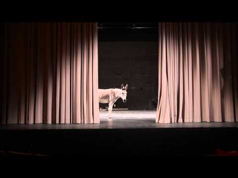 "Balthazar" von David Weber-Krebs im HAU Hebbel am Ufer