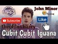 John Minor-(Cubit Cubit Iguana) John Minor-(Cubit Cubit Iguana)