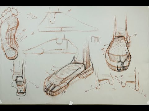 ANATOMY FOR ARTISTS: The Foot-Basic Foot Structure
