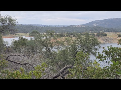 Astrology for the Soul  October 22, 2025