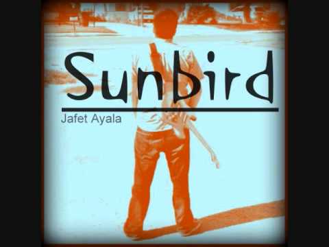 Sunbird - Jafet Ayala