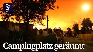 Frankreich: Tausende Menschen fliehen vor Waldbrand