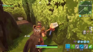 ［FORTNITE］台風の中優勝しまくる！初見さん大歓迎！見に来てくれた方ありがとう！台風がうるさすぎるので声なしです。