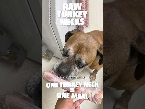 Organic raw turkey necks: hormone & antibiotic-free, locally sourced from free-range turkeys!