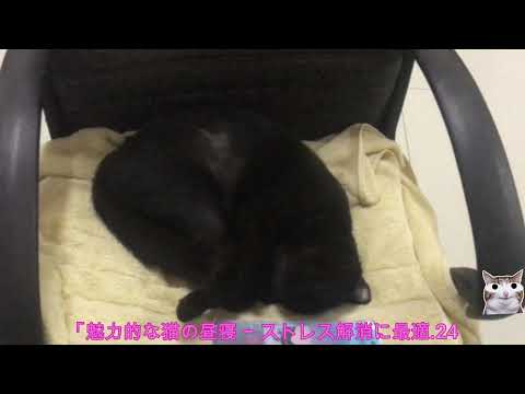 iPhoneのアップデートでユーザーがイライラ – 実用的な機能が突然消えた