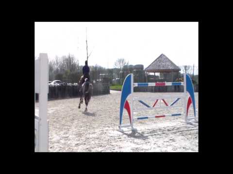 pedro veniss rigesmund