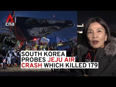 濟州航空空難是如何發生的？ (How did the Jeju Air crash happen?)
