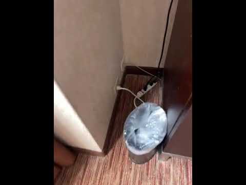 Ballys Hotels and Casinos - Dirty Hotel - Image 2