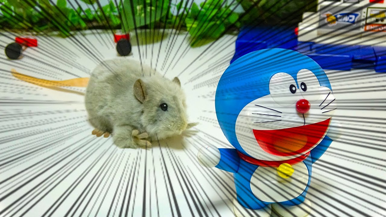 🐭🐭🐭ドラえもん おもちゃアニメ「凶暴な巨大ネズミが現れた！」