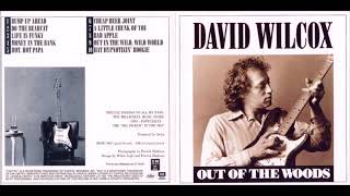 David Wilcox That Hypnotizin&#39; Boogie