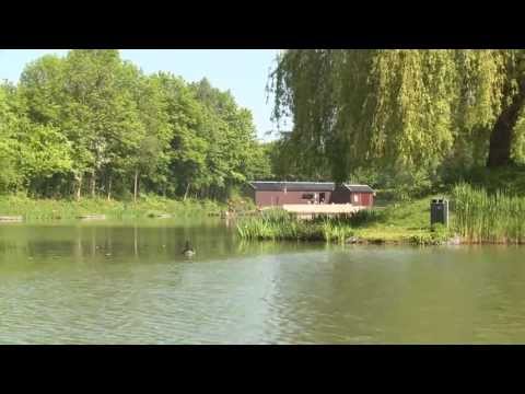 Visvijver, de Driepoel - Geleen