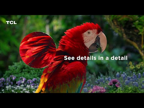 Stunning Picture Quality | TCL Mini LED QLED TV Line
